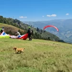 Preparación para el Parapente seguro en el punto de despegue de San Félix, Medellín. Pilotos y asistentes extienden las velas en la montaña verde, con un parapente en vuelo y un perro disfrutando en el pasto.