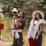 avistamiento de aves cerca a medellin